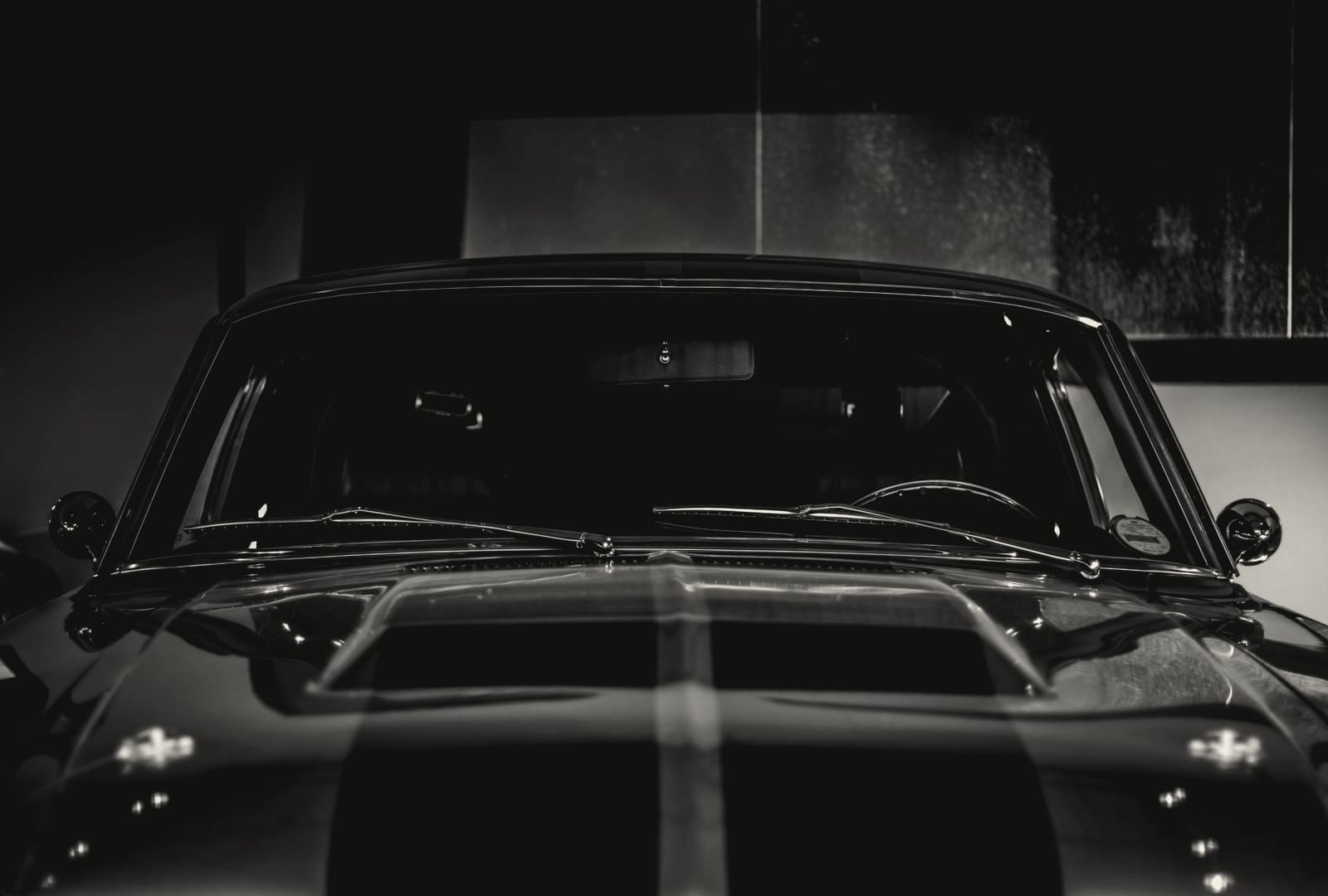 Finished dark paint after a premium detail